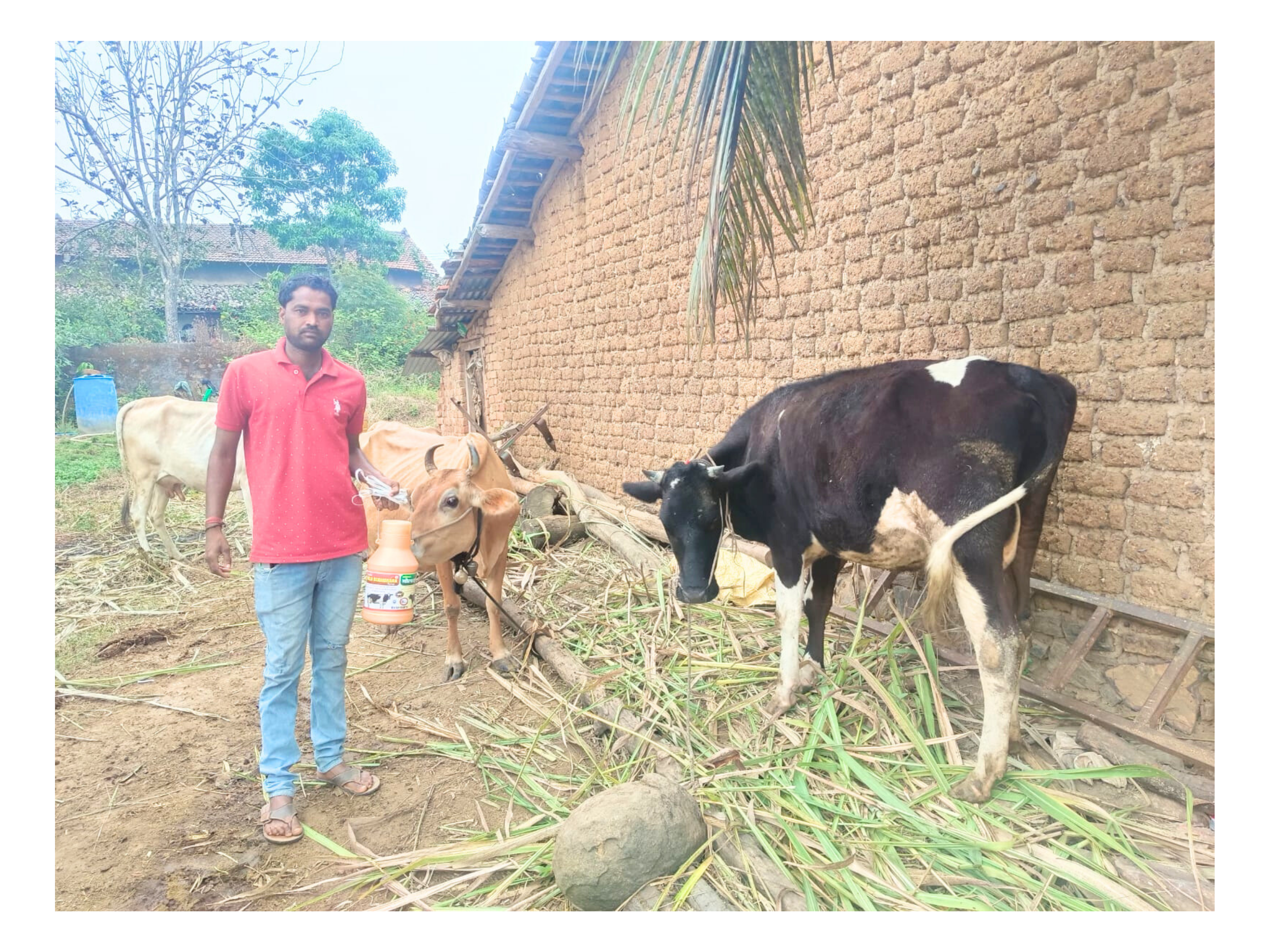 18 दिसंबर, 2025