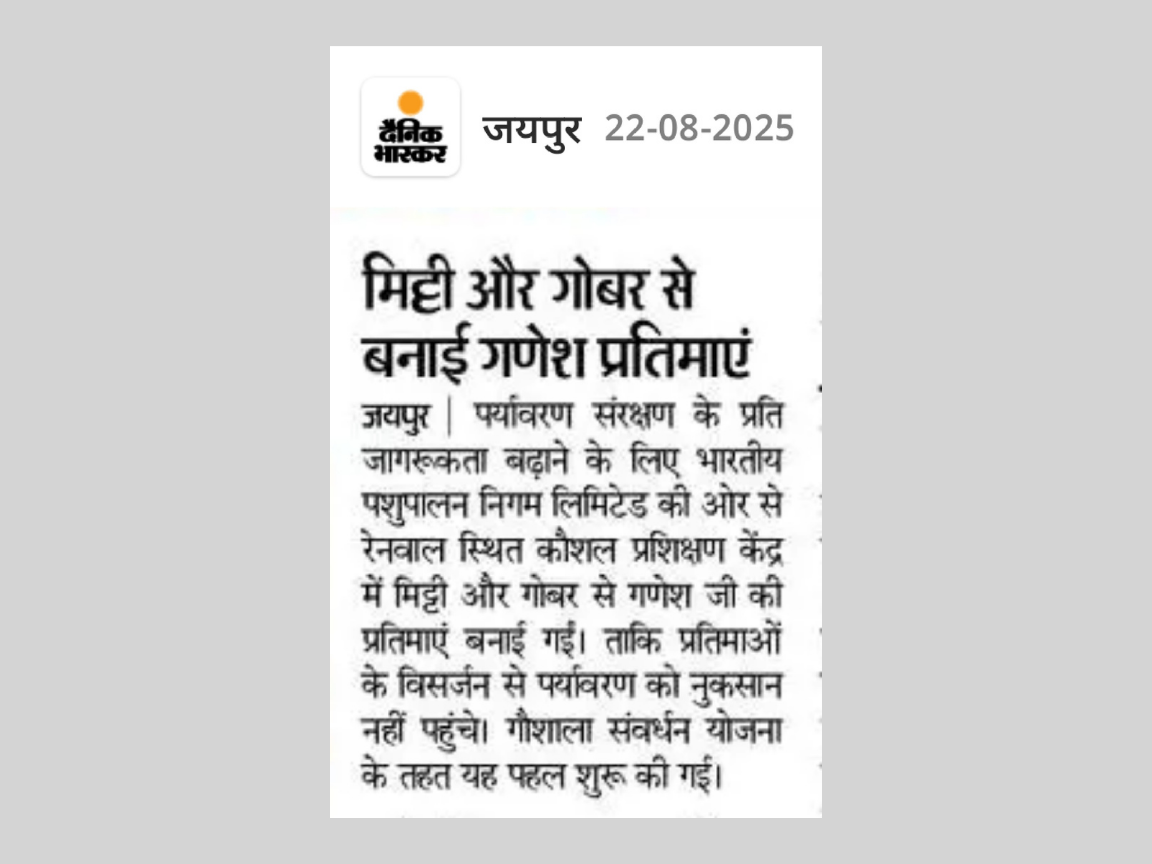 बी.पी.एन.एल. द्वारा निर्मित इको-फ्रेंडली गणेश जी की प्रतिमा